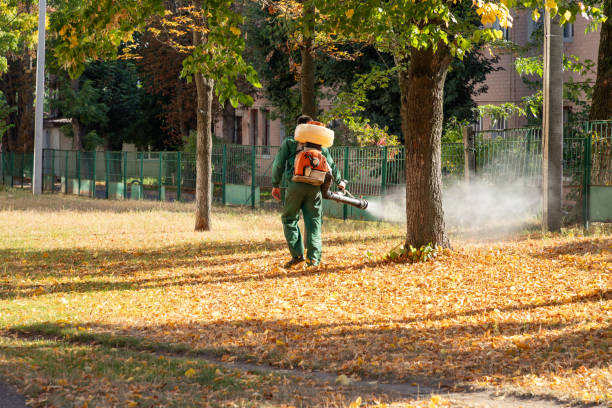 Best Commercial Pest Control Services  in Fostoria, OH