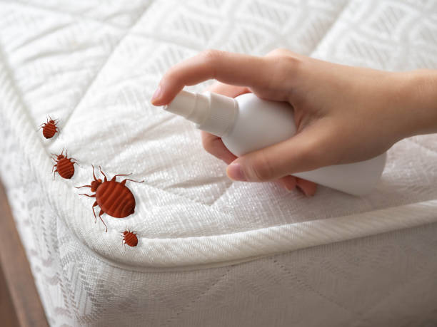 Best Emergency Pest Control  in Fostoria, OH